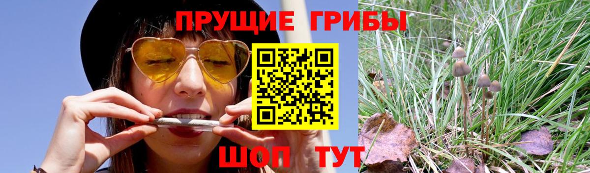 Галлюциногенные грибы мицелий  Псилоцибиновые грибы ЛСД  Вход с VPN  Волоколамск 